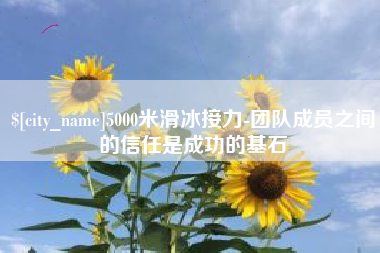 鹤壁5000米滑冰接力-团队成员之间的信任是成功的基石