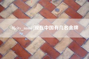 鹤壁现在中国有几名金牌