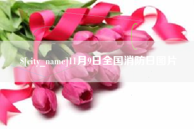 鹤壁11月9日全国消防日图片