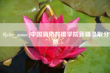 鹤壁中国消防救援学院新疆录取分数