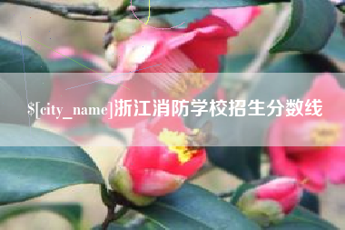 鹤壁浙江消防学校招生分数线