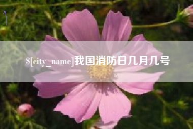 鹤壁我国消防日几月几号