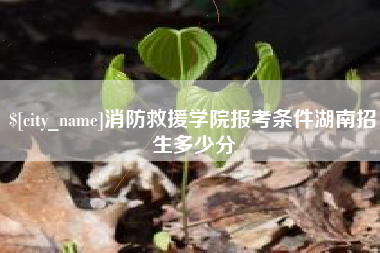 鹤壁消防救援学院报考条件湖南招生多少分