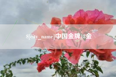 鹤壁中国金牌18金