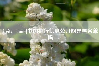 鹤壁中国执行信息公开网是黑名单吗