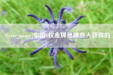 鹤壁中国6枚金牌是哪些人获得的