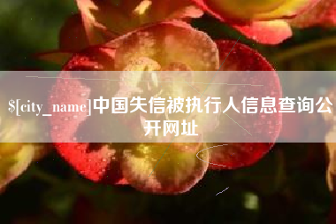 鹤壁中国失信被执行人信息查询公开网址