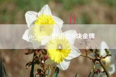 鹤壁奥运会39块金牌