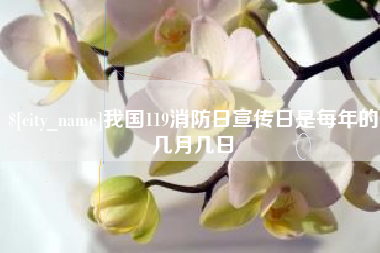 鹤壁我国119消防日宣传日是每年的几月几日