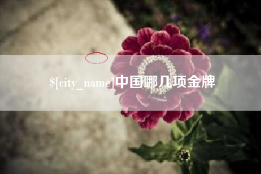 鹤壁中国哪几项金牌