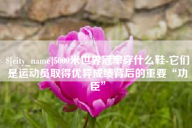鹤壁5000米世界冠军穿什么鞋-它们是运动员取得优异成绩背后的重要“功臣”