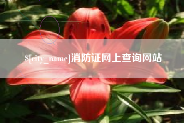 鹤壁消防证网上查询网站
