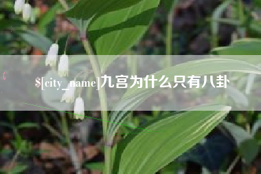 鹤壁九宫为什么只有八卦