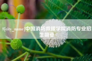鹤壁中国消防救援学院消防专业招生简章