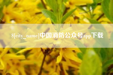 鹤壁中国消防公众号app下载
