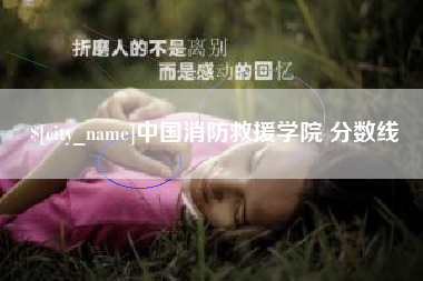 鹤壁中国消防救援学院 分数线
