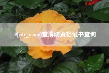 鹤壁查消防资格证书查询