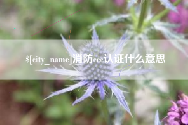 鹤壁消防ccc认证什么意思