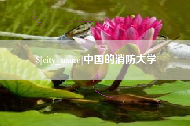 鹤壁中国的消防大学