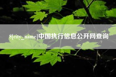鹤壁中国执行信息公开网查询