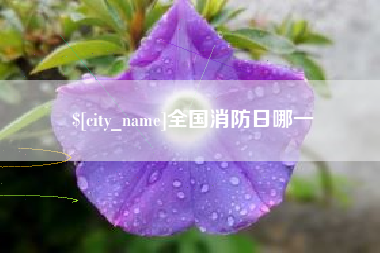 鹤壁全国消防日哪一
