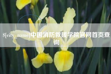 鹤壁中国消防救援学院官网首页查询