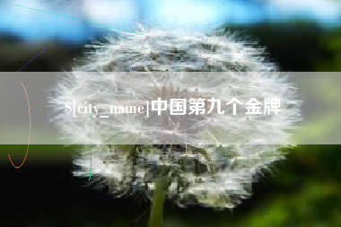 鹤壁中国第九个金牌