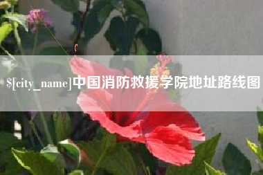 鹤壁中国消防救援学院地址路线图