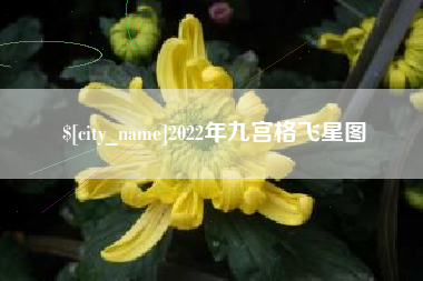 鹤壁2022年九宫格飞星图