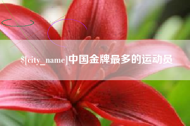 鹤壁中国金牌最多的运动员