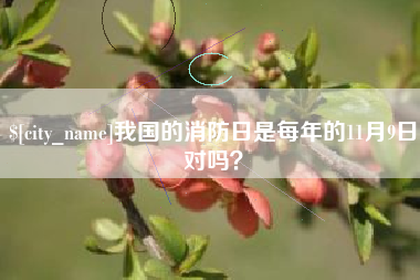 鹤壁我国的消防日是每年的11月9日对吗？