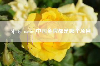 鹤壁中国金牌都是哪个项目