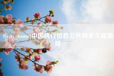 鹤壁中国执行信息公开网多久能消除