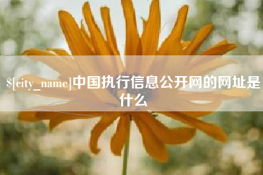 鹤壁中国执行信息公开网的网址是什么