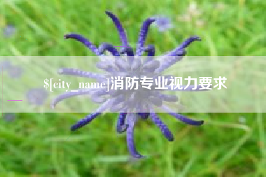 鹤壁消防专业视力要求