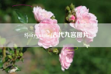 鹤壁古代九宫图片