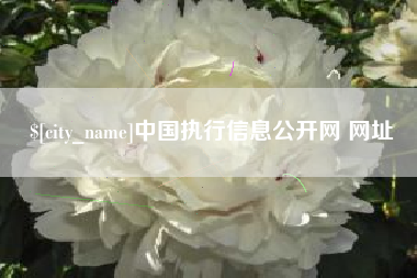 鹤壁中国执行信息公开网 网址