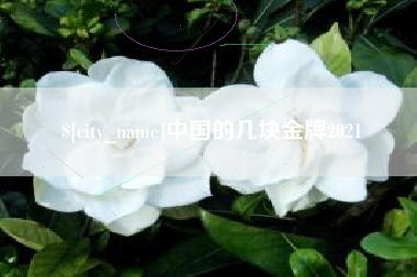鹤壁中国的几块金牌2021