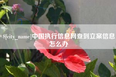 鹤壁中国执行信息网查到立案信息怎么办