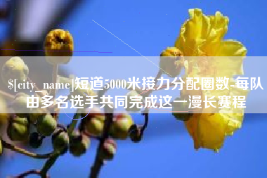 鹤壁短道5000米接力分配圈数-每队由多名选手共同完成这一漫长赛程