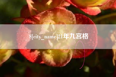 鹤壁21年九宫格