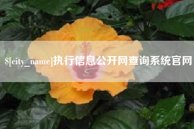 鹤壁执行信息公开网查询系统官网