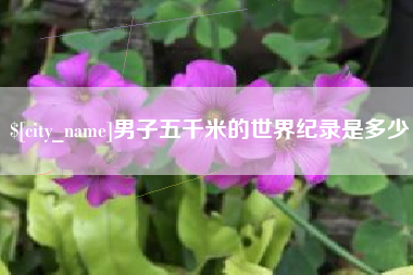 鹤壁男子五千米的世界纪录是多少