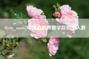鹤壁中国消防救援学院招生人数
