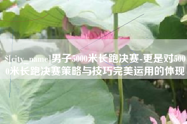 鹤壁男子5000米长跑决赛-更是对5000米长跑决赛策略与技巧完美运用的体现