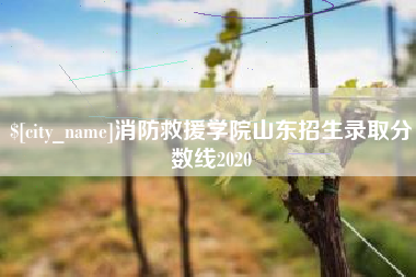 鹤壁消防救援学院山东招生录取分数线2020