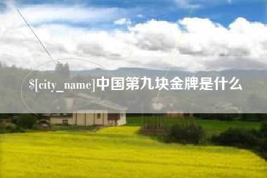 鹤壁中国第九块金牌是什么