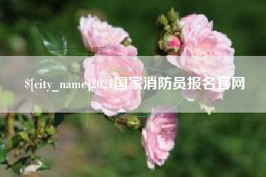 鹤壁2021国家消防员报名官网