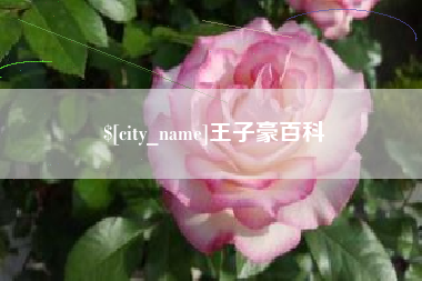 鹤壁王子豪百科