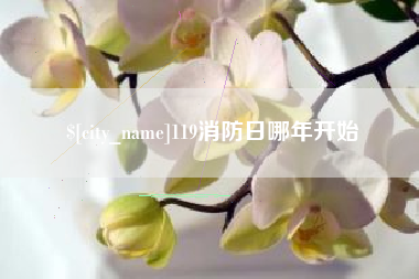 鹤壁119消防日哪年开始